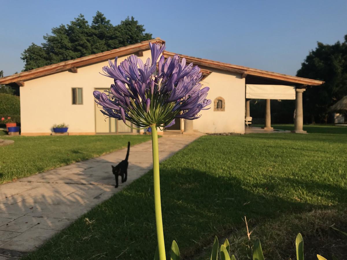 Quinta Azul Oaxaca Villa Bagian luar foto